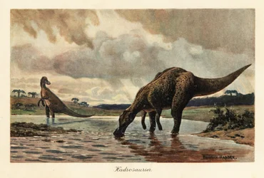 Hadrosaurios o dinosaurios con pico de pato alimentándose en un río.