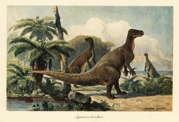 Iguanodon bernissartensis en un bosque de helechos prehistórico.