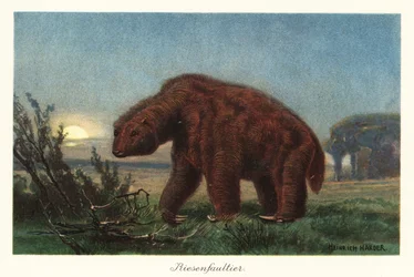 Megatherium americanum a la luz de la luna.