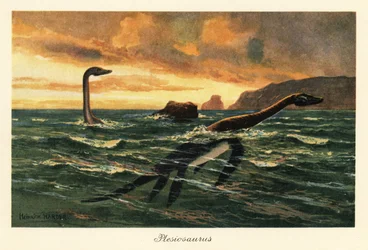 Plesiosaurus dolichodeirus en el océano.
