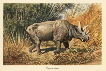 Uintatherium anceps en un claro de la selva.