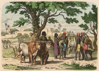 Egipto Antiguo: Agricultura y caza