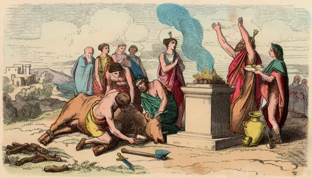Grecia Antigua: Sacrificio Ritual de Toros - Grecia en la época de los reyes