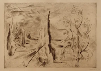 Gran paisaje de parque