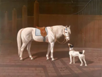 Caballo, tordo / según H. Sperling