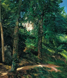 Terrenos del castillo en Lichtenberg en Odenwald