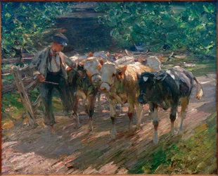 Pastor guiando tres terneros