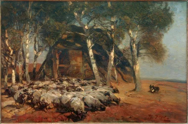 Rebaño de ovejas en el Koben