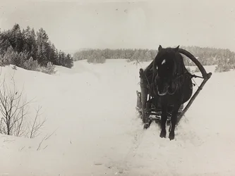 Primera Guerra Mundial: Ucrania en los años 1914-1916 durante la invasión del ejército alemán. Trineo tirado por caballos en la nieve