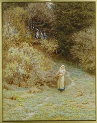 En el Bosque de Primaveras