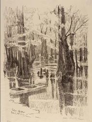 Pantano de los Cipreses