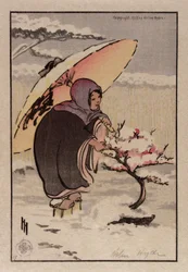 Pequeña ciruela rosa