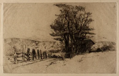 Primavera en la granja