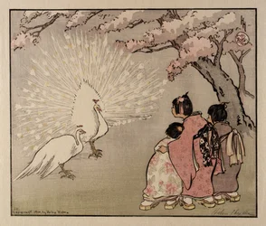 El pavo real blanco