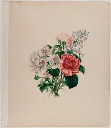 Ramo de San León, c.1842 (acuarela sobre papel)