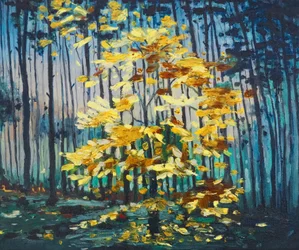 Haya de otoño, 2008