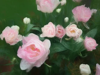 Cama de Rosas