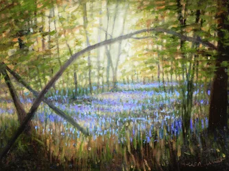 Bluebell Glade, 2024 (óleo sobre lienzo)