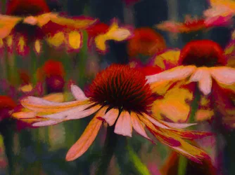 Daisy Daisy, 2019