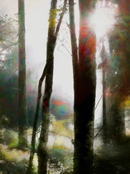 Atrévete a creer, 2018