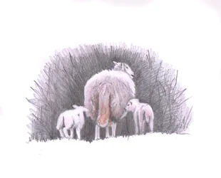 Seguir, 2016