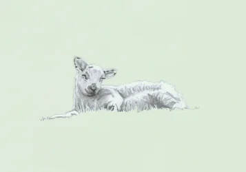 Gentle Spirit II, 2022