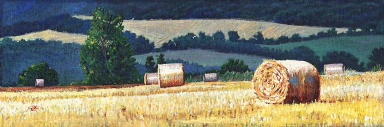 Pacas de heno en la ladera, 2012