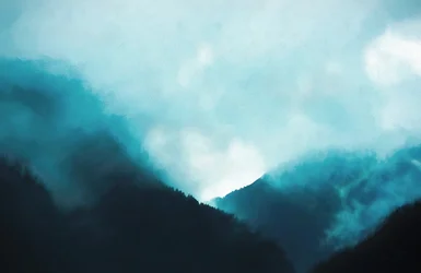 Paso de Montaña, 2019