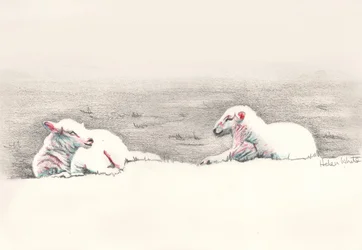 Durmiendo, 2016
