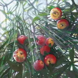 Nueva luz sobre Edén, 2016