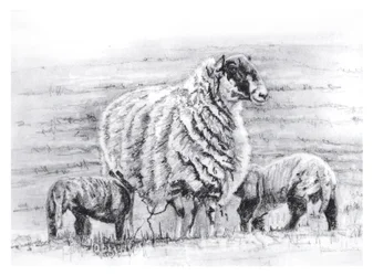 Orgulloso, 2012