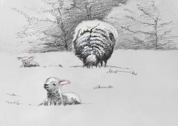 Trío Sheep, 2022