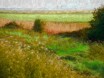 Pradera de Verano, 2019