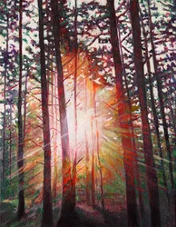 Rayo de sol, 2010