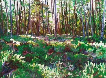 La luz del sol en Heather, 2011