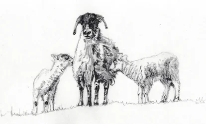 Nosotros Tres, 2012