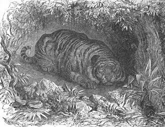 Una siesta después de la cena, c. 1900