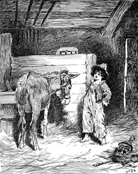 Piccino y su amigo el burro