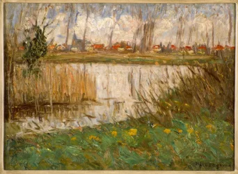 Aguas estancadas en el preludio de la primavera