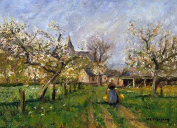 Floración de frutas