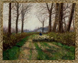 Rebaño de ovejas