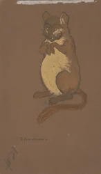 Dormouse (diseño de vestuario para Alicia en el País de las Maravillas, 1915)