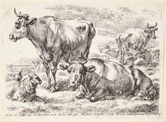 Retrato de un miembro de la familia Out. Cornelis Out (?)