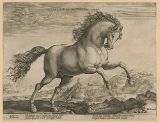 caballo salvaje Eqvvs liber et incompǒsitvs (título sobre el objeto) Razas de caballos de las Caballerizas Reales de Don Juan de Austria (título de la serie)