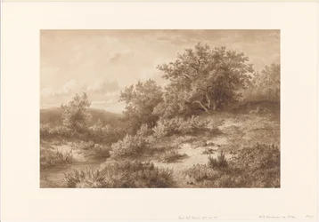 Paisaje con arroyo y arbustos