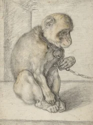 Mono sentado en una cadena, 1592-1602