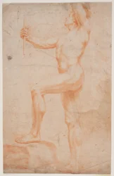 Estudio de modelo masculino