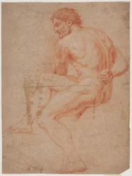 Estudio de modelo masculino