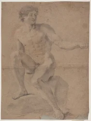 Estudio de modelo masculino