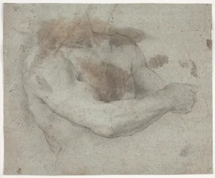 Torso de modelo masculino